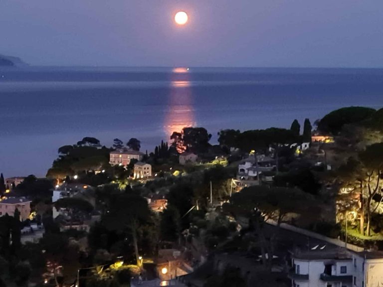 PHOTO-2025-07-30-16-08-32