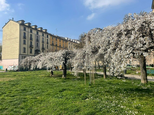 parco primavera 2026