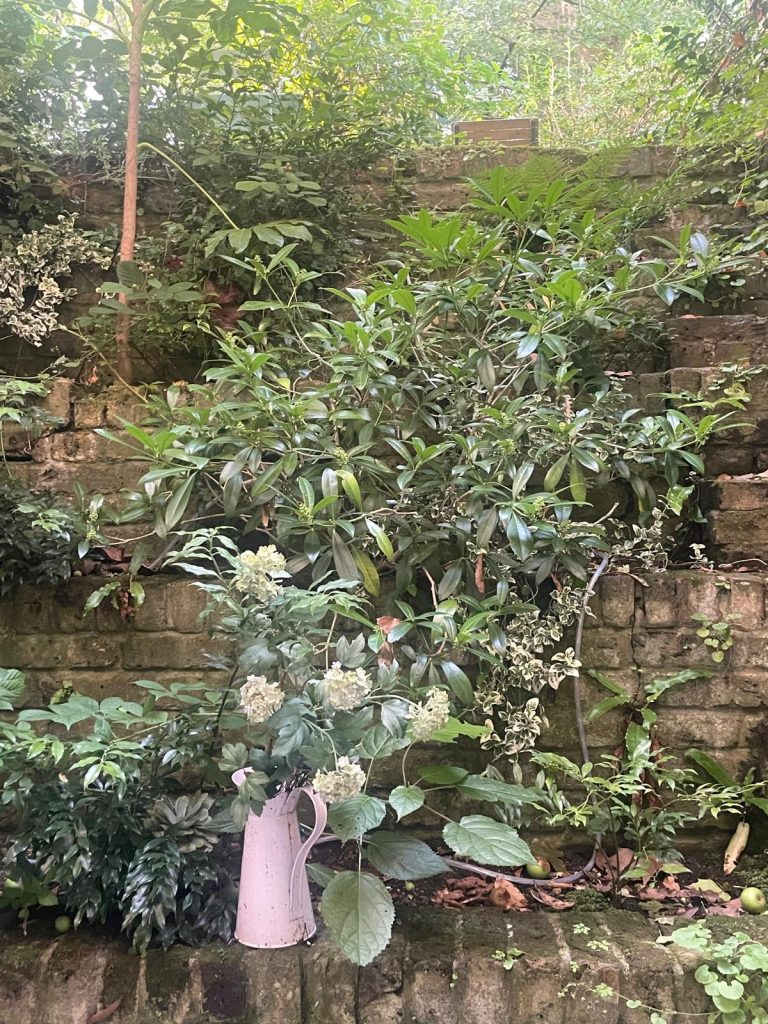 WhatsApp Image 2026-03-05 at 14.30