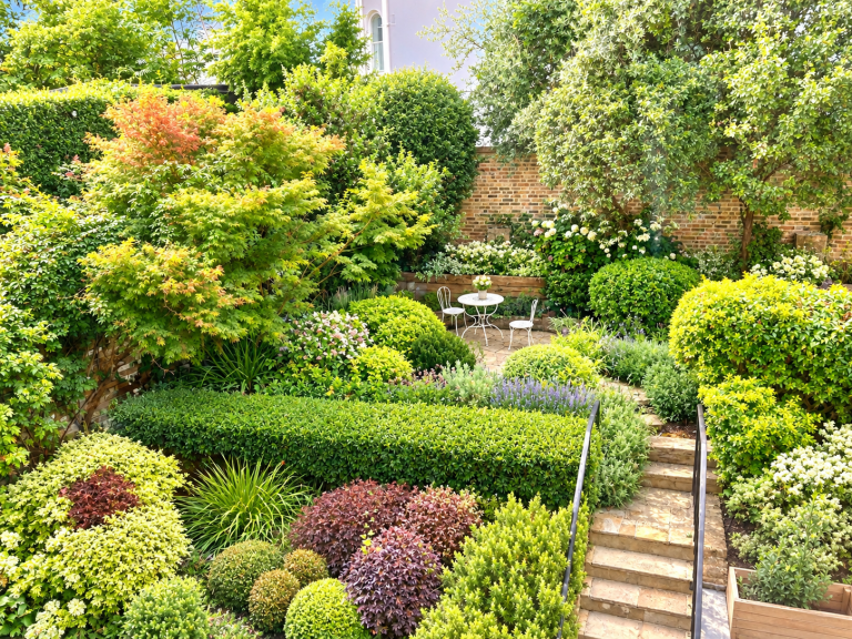 communal garden